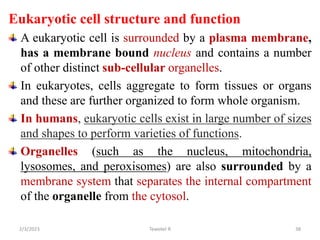 Eukaryotic cell structure and function
A eukaryotic cell is surrounded by a plasma membrane,
has a membrane bound nucleus ...