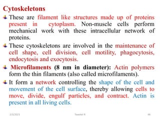 Cytoskeletons
These are filament like structures made up of proteins
present in cytoplasm. Non-muscle cells perform
mechan...