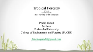 Tropical Forestry
SFB 358
Credit hour (2+0)
B.Sc Forestry (Fifth Semester)
Prabin Pandit
Lecturer
Purbanchal University
College of Environment and Forestry (PUCEF)
foresterpandit@gmail.com
 