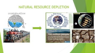 NATURAL RESOURCE DEPLETION
 