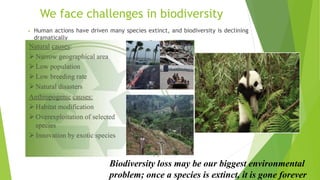 We face challenges in biodiversity
• Human actions have driven many species extinct, and biodiversity is declining
dramatically
Biodiversity loss may be our biggest environmental
problem; once a species is extinct, it is gone forever
 