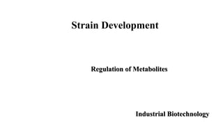 Strain Development
Regulation of Metabolites
Industrial Biotechnology
 