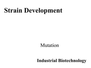 Strain Development
Industrial Biotechnology
Mutation
 