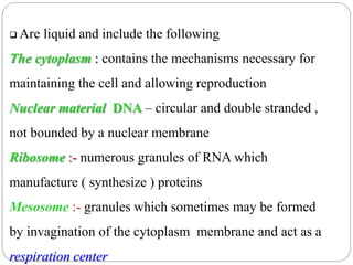  Are liquid and include the following
The cytoplasm : contains the mechanisms necessary for
maintaining the cell and allowing reproduction
Nuclear material DNA – circular and double stranded ,
not bounded by a nuclear membrane
Ribosome :- numerous granules of RNA which
manufacture ( synthesize ) proteins
Mesosome :- granules which sometimes may be formed
by invagination of the cytoplasm membrane and act as a
respiration center
 