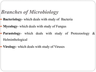 Branches of Microbiology
 Bacteriology- which deals with study of Bacteria
 Mycology- which deals with study of Fungus
 Parastology- which deals with study of Protozoology &
Helminthological
 Virology- which deals with study of Viruses
 