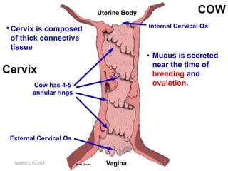 introduction to reproductive physiology of farm animals | PPTX