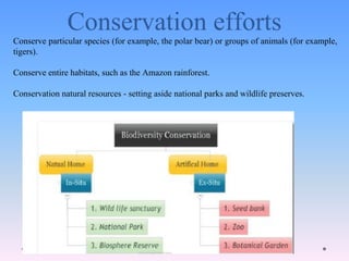 Conservation efforts
Conserve particular species (for example, the polar bear) or groups of animals (for example,
tigers).
Conserve entire habitats, such as the Amazon rainforest.
Conservation natural resources - setting aside national parks and wildlife preserves.
 