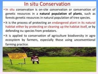 chapter 1 bio460 biological diversity uitm
