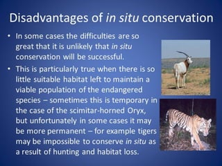 chapter 1 bio460 biological diversity uitm