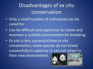 chapter 1 bio460 biological diversity uitm