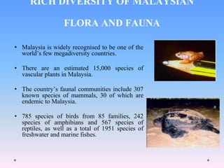 RICH DIVERSITY OF MALAYSIAN
FLORA AND FAUNA
• Malaysia is widely recognised to be one of the
world’s few megadiversity countries.
• There are an estimated 15,000 species of
vascular plants in Malaysia.
• The country’s faunal communities include 307
known species of mammals, 30 of which are
endemic to Malaysia.
• 785 species of birds from 85 families, 242
species of amphibians and 567 species of
reptiles, as well as a total of 1951 species of
freshwater and marine fishes.
 