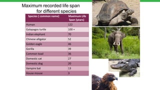 Turtle Max Age CHAPTER 1.pptx human growth and developement | PPTX