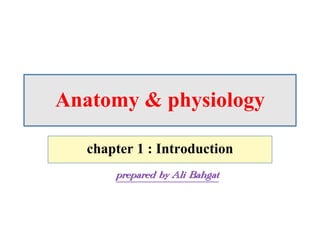 Chapter one of anatomy & physiology according to openstax college | PDF