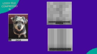LOSSY FILE
COMPRESSIO
N
 