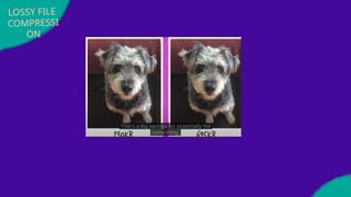 LOSSY FILE
COMPRESSI
ON
 