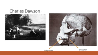 Charles Dawson
orangutan
chimpanzee
 