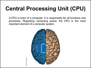 Central Processing Unit (CPU)
A CPU is brain of a computer. It is responsible for all functions and
processes. Regarding computing power, the CPU is the most
important element of a computer system.
 