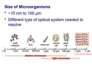 Chapter one - Introduction of Microbiology | PPTX