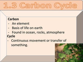 Photosynthesis for plant and carbon cycle | PDF