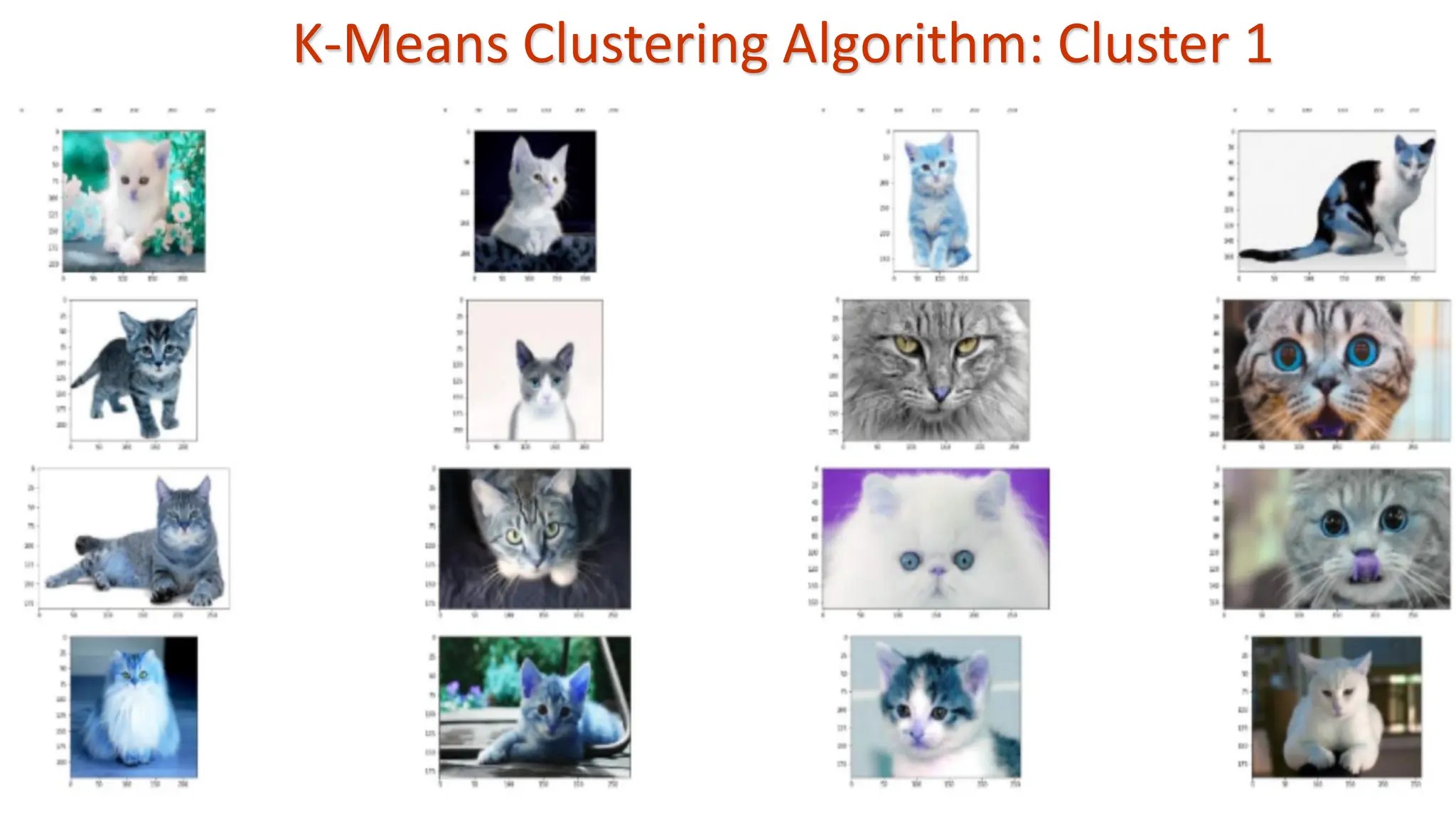 K-Means Clustering Algorithm: Cluster 1 