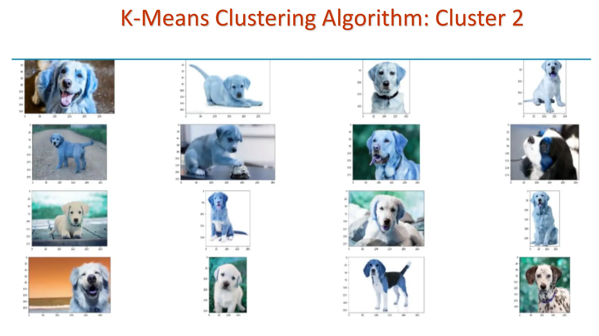 K-Means Clustering Algorithm: Cluster 2 