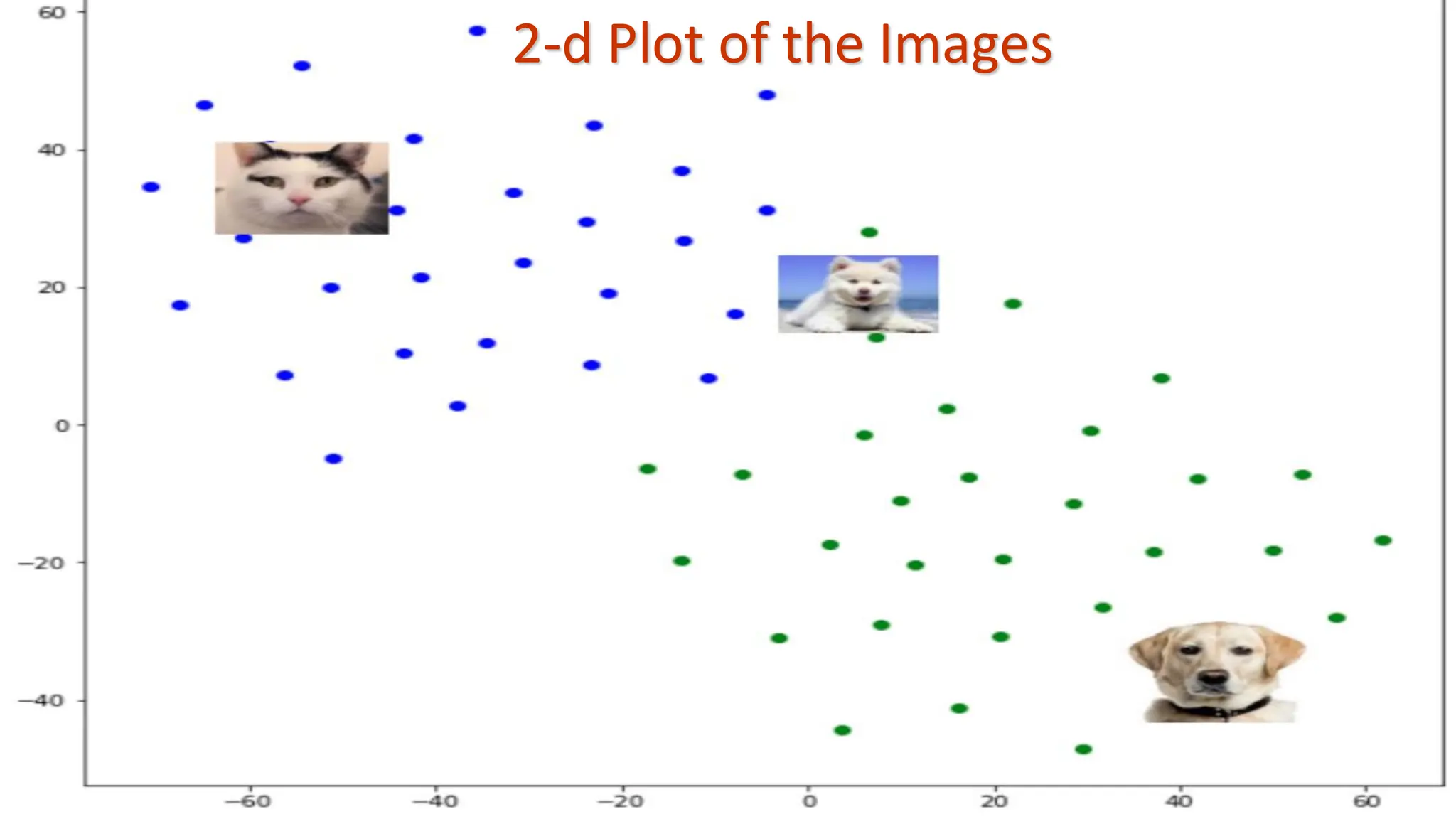 2-d Plot of the Images 