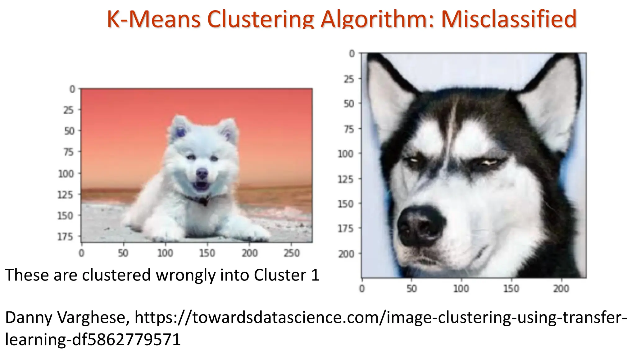 K-Means Clustering Algorithm: Misclassified These are clustered wrongly into Cluster 1 Danny Varghese, https://towardsdatascience.com/image-clustering-using-transfer- learning-df5862779571 