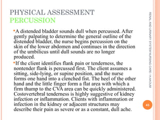Chapter 1.Assessment of renal and urinary tract function.ppt