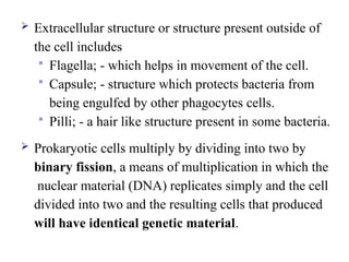 Extracellular structure or structure present outside of
the cell includes
 Flagella; - which helps in movement of the cell.
 Capsule; - structure which protects bacteria from
being engulfed by other phagocytes cells.
 Pilli; - a hair like structure present in some bacteria.
 Prokaryotic cells multiply by dividing into two by
binary fission, a means of multiplication in which the
nuclear material (DNA) replicates simply and the cell
divided into two and the resulting cells that produced
will have identical genetic material.
 
