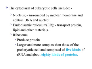 The cytoplasm of eukaryotic cells include: -
 Nucleus; - surrounded by nuclear membrane and
contain DNA and nucleoli.
 Endoplasmic reticulum(ER); - transport protein,
lipid and other materials.
 Ribosome
 Produce protein
 Larger and more complex than those of the
prokaryotic cell and composed of five kinds of
rRNA and about eighty kinds of proteins.
 