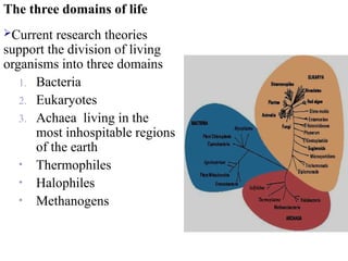 The three domains of life
Current research theories
support the division of living
organisms into three domains
1. Bacteria
2. Eukaryotes
3. Achaea living in the
most inhospitable regions
of the earth
• Thermophiles
• Halophiles
• Methanogens
 