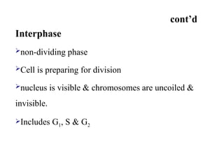 cont’d
Interphase
non-dividing phase
Cell is preparing for division
nucleus is visible & chromosomes are uncoiled &
invisible.
Includes G1, S & G2
 