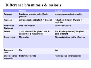 Difference b/n mitosis & meiosis
Mitosis Meiosis
Purpose Produces somatic cells (Body,
growth)
produces reproductive cells
Process cell duplication (Diploid -> diploid) reduction division (Diploid ->
haploid)
Number of
Divisions
One cell division Two cell division
Product 1 -> 2 identical daughter cells To
each other & mother cell
1 -> 4 cells (gametes) daughter
cells different
Occurrence More often At a certain time in the life cycle
Crossing-
over
No Yes
Chromosome
separation
Sister chromatids Homologous chromosomes
 
