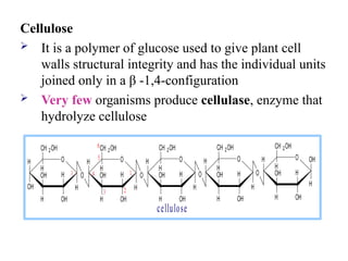 Cellulose
 It is a polymer of glucose used to give plant cell
walls structural integrity and has the individual units
joined only in a β -1,4-configuration
 Very few organisms produce cellulase, enzyme that
hydrolyze cellulose
cellulose
H O
OH
H
OH
H
OH
CH 2OH
H
O
H
OH
H
OH
CH 2OH
H
O
H H O
O H
OH
H
OH
CH 2OH
H
H O
H
OH
H
OH
CH 2OH
H
H
OH
H O
O H
OH
H
OH
CH 2OH
H
O
H H H H
1
6
5
4
3
1
2
 