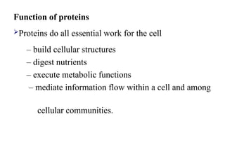 Function of proteins
Proteins do all essential work for the cell
– build cellular structures
– digest nutrients
– execute metabolic functions
– mediate information flow within a cell and among
cellular communities.
 