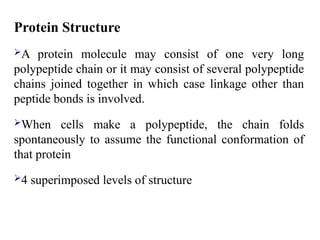 Protein Structure
A protein molecule may consist of one very long
polypeptide chain or it may consist of several polypeptide
chains joined together in which case linkage other than
peptide bonds is involved.
When cells make a polypeptide, the chain folds
spontaneously to assume the functional conformation of
that protein
4 superimposed levels of structure
 
