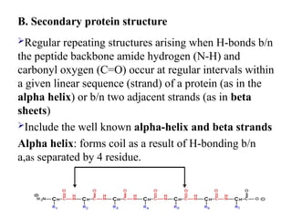 B. Secondary protein structure
Regular repeating structures arising when H-bonds b/n
the peptide backbone amide hydrogen (N-H) and
carbonyl oxygen (C=O) occur at regular intervals within
a given linear sequence (strand) of a protein (as in the
alpha helix) or b/n two adjacent strands (as in beta
sheets)
Include the well known alpha-helix and beta strands
Alpha helix: forms coil as a result of H-bonding b/n
a,as separated by 4 residue.
 