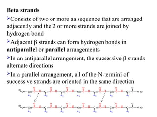 Beta strands
Consists of two or more aa sequence that are arranged
adjacently and the 2 or more strands are joined by
hydrogen bond
Adjacent β strands can form hydrogen bonds in
antiparallel or parallel arrangements
In an antiparallel arrangement, the successive β strands
alternate directions
In a parallel arrangement, all of the N-termini of
successive strands are oriented in the same direction
 