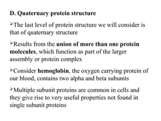 D. Quaternary protein structure
The last level of protein structure we will consider is
that of quaternary structure
Results from the union of more than one protein
molecules, which function as part of the larger
assembly or protein complex
Consider hemoglobin, the oxygen carrying protein of
our blood, contains two alpha and beta subunits
Multiple subunit proteins are common in cells and
they give rise to very useful properties not found in
single subunit proteins
 