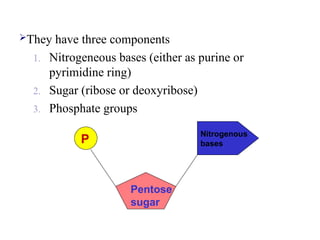 They have three components
1. Nitrogeneous bases (either as purine or
pyrimidine ring)
2. Sugar (ribose or deoxyribose)
3. Phosphate groups
P
Pentose
sugar
Nitrogenous
bases
 