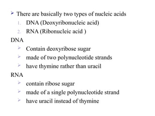  There are basically two types of nucleic acids
1. DNA (Deoxyribonucleic acid)
2. RNA (Ribonucleic acid )
DNA
 Contain deoxyribose sugar
 made of two polynucleotide strands
 have thymine rather than uracil
RNA
 contain ribose sugar
 made of a single polynucleotide strand
 have uracil instead of thymine
 