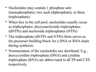  Nucleotides may contain 1 phosphate unit
(monophosphate), two such (diphosphate), or three
(triphosphate).
 When free in the cell pool, nucleotides usually occur
as triphosphates: deoxynucleoside triphosphates
(dNTPs) and nucleoside triphosphates (NTPs)
 The triphosphate (dNTPs and NTPs) form serves as
the precursor building block for a DNA or RNA chain
during synthesis.
 Nomenclature of the nucleotides use shorthand. E.g.,
deoxycytidine triphosphate (DNA) and cytidine
triphosphate (RNA) are abbreviated to dCTP and CTP,
respectively.
 