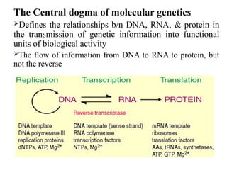 The Central dogma of molecular genetics
Defines the relationships b/n DNA, RNA, & protein in
the transmission of genetic information into functional
units of biological activity
The flow of information from DNA to RNA to protein, but
not the reverse
 