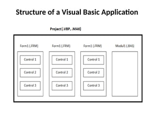 Structure of a Visual Basic Application
 