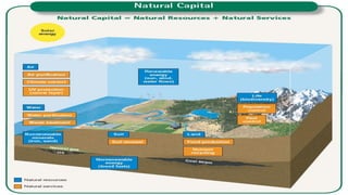 Environmental problems, their causs and sustainability | PDF