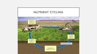Environmental problems, their causs and sustainability | PDF