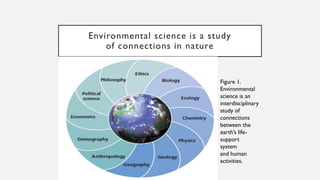 Environmental Science Connection Environmental problems, their causs and sustainability | PDF