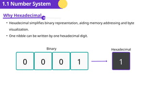 Hex In Computer Science Cambridge AS Level Computer Science Ch 1 | PPTX