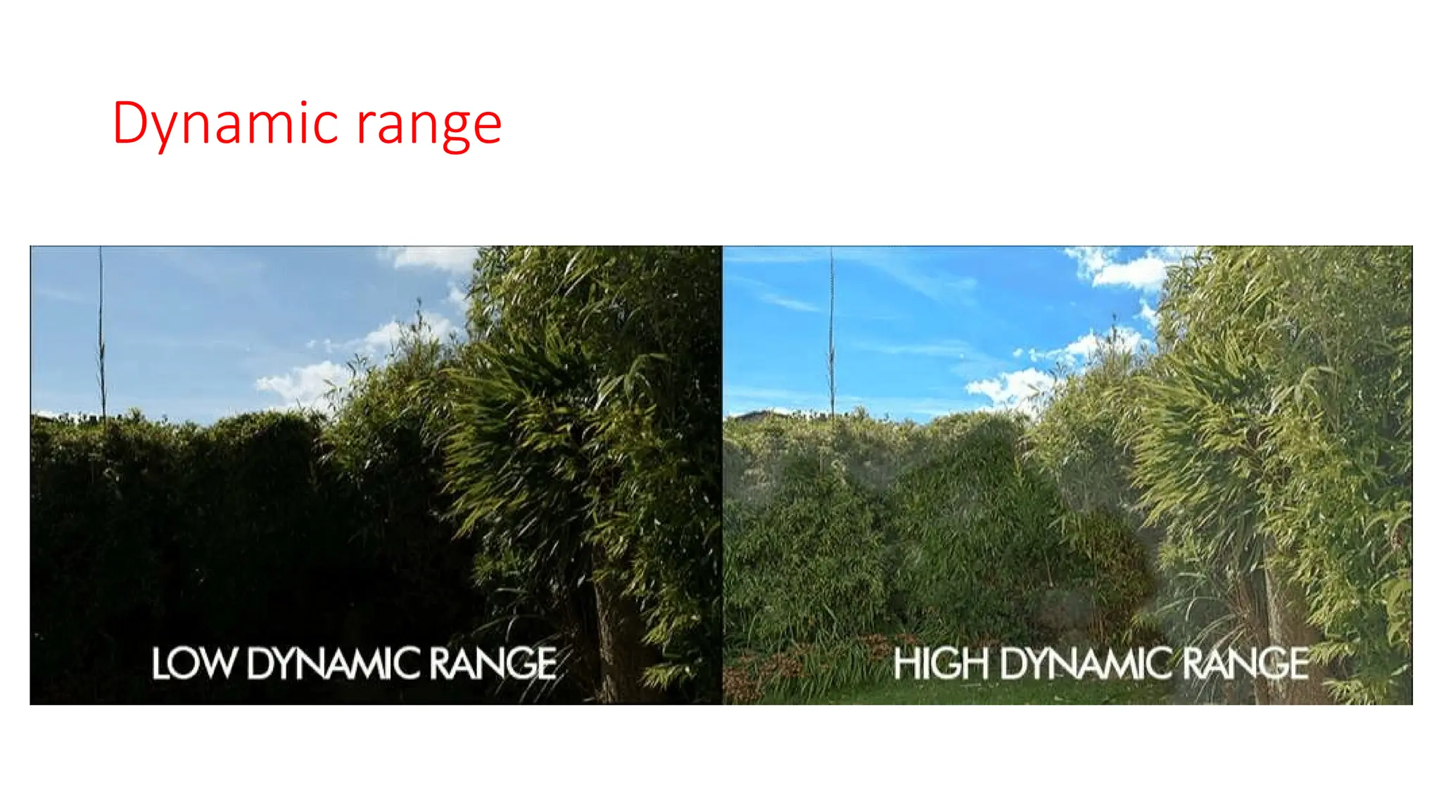 Dynamic range
 