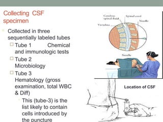 chapter 20 cerebrospinal fluid analysis urnalysis | PPTX